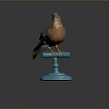 Taxidermy Bird With Brown And Orange Feathers On Blue Base Against Dark Background