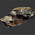 Layered Fan Shaped Mushroom Plant With Brown Yellow White Tones And Natural Growth Structure