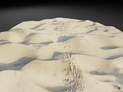 Beach Beach Sandy Beachhead 3d model Beach Beach Sandy Beachhead 3d model