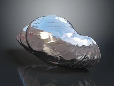 Shiny Silver Metallic Shell With Reflective Surface On Black Background 3d model