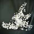 Red and White Decorative Flowers in Glass Vases on Gray Background