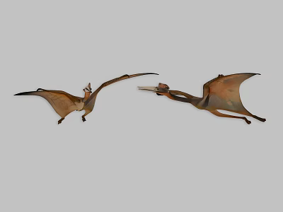Dinosaurs Jurassic Animals Tyrannosaurus Raptors Spinosaurus Leoparosaurus Stegosaurus Long-necked Dragon Triceratolaurus Double-crowned Dragon Tyrannosaurus Pterosaurus 3d model