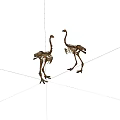 Two Ostrich Skeletons Standing Side By Side On White Background