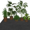 Various Types of Green Potted Plants in Wicker Baskets with Light Colored Walls Background