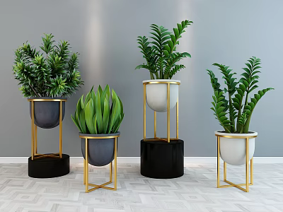 Potted Plants On Golden Stands With Black Bases White Pots And Green Foliage 3d model