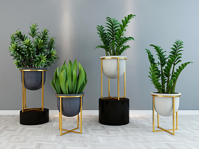 Modern potted plants 3d model