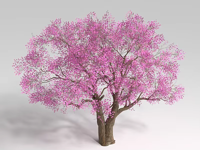 Beautiful Blooming Shrub With Vibrant Pink Flowers Brown Trunk And Lush Foliage 3d model