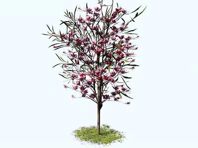 Beautiful Arbor With Purple Flowers Green Leaves Brown Trunk And Grass Base 3d model