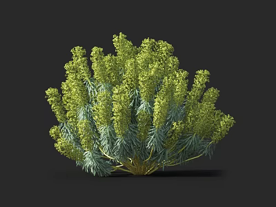 Green Bushy Plant With Dense Radiant Vibrant Leaves And Lush Foliage 3d model
