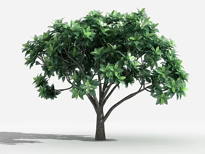 Vibrant Arbor Tree With Lush Green Leaves And Strong Trunk For Natural Garden Landscape 3d model