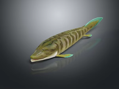 Striped Green Brown Fish With Light Green Tail And Fins On Dark Background With Reflection 3d model