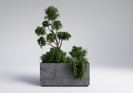 Modern Flower Box Green Plant Potted Flower Groove 3d model