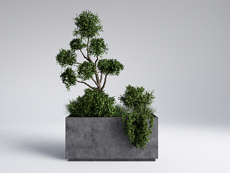 Modern Flower Box Green Plant Potted Flower Groove 3d model