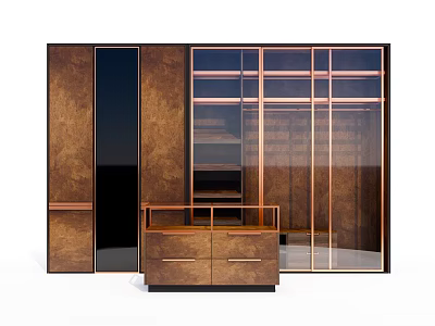 Elegant Modern Wardrobe Design with Glass Doors Metal Frame and Wooden Drawers 3d model