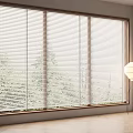 Venetian Blinds Covering Large Window With Wooden Frame Natural Light And Trees Outside