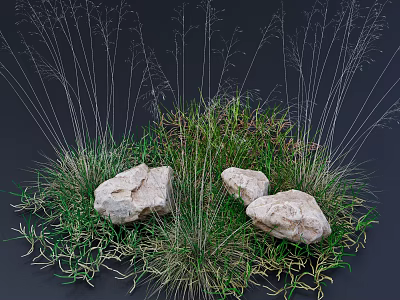 Lush Green Grass Varieties With White Stones in Natural Outdoor Setting 3d model