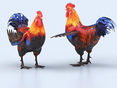 Two Colorful Roosters With Vibrant Red Orange Blue Feathers In 3D Rendering Standing Pose 3d model