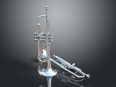 Silver Trumpet and Trombone Shiny Musical Instruments with Metallic Surface Finish 3d model