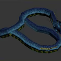 Blue Snake With Curved Body Shiny Scales And Yellow Accents