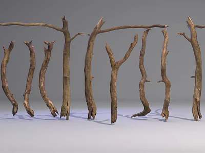 Natural Stone And Wood Decor With Curved Branches Arranged In Row 3d model
