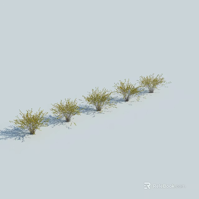 Five Green Leafy Shrubs Arranged In A Row With Sunlight Casting Shadows On Light Ground 3d model