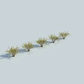 Five Green Leafy Shrubs Arranged In A Row With Sunlight Casting Shadows On Light Ground 3d model