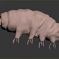 Adorable Pink Tardigrade Creature with Numerous Tiny Legs and Smooth Body Texture 3d model