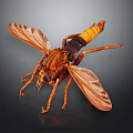Brown Fly with Yellow and Black Abdomen Transparent Wings and Orange Legs on Dark Background