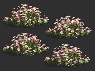 Multiple Round Flower Clusters With Pink And White Blooms And Green Leaves 3d model