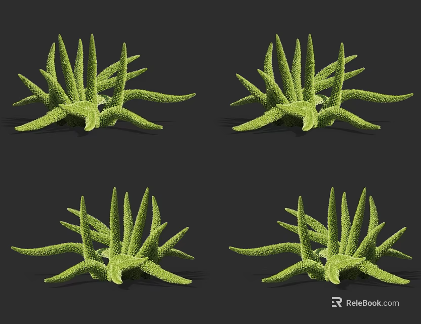 Green Starfish Shaped Plants with Spiky Leaves on Dark Background 3d model 