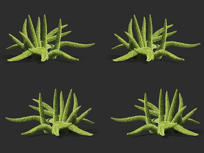 Green Starfish Shaped Plants with Spiky Leaves on Dark Background 3d model