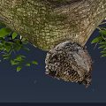Busy Flying Bees Around Honeycomb Nest On Tree Trunk With Green Leaves And Blue Sky