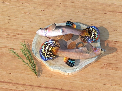 Fish 3D Model 3d model