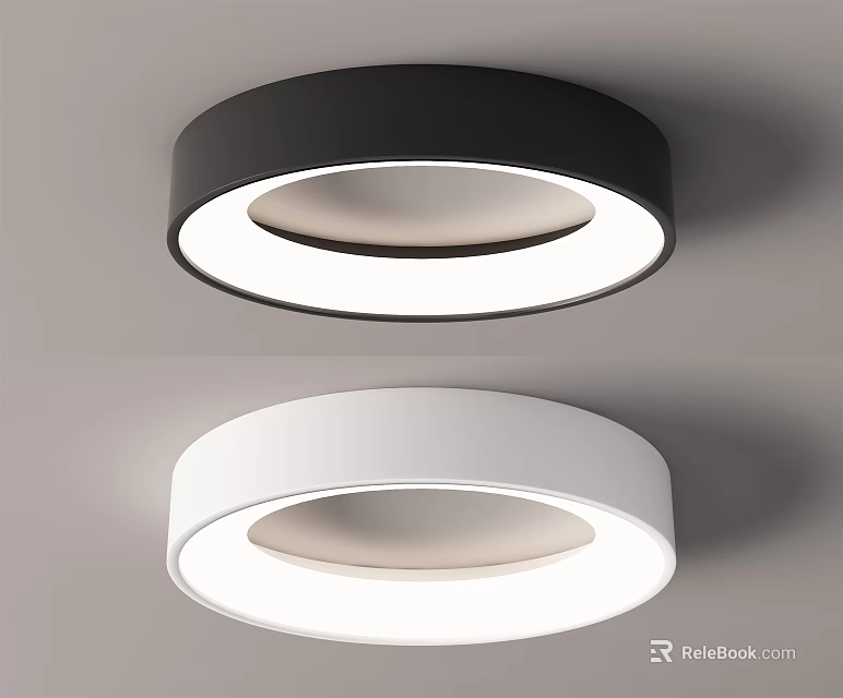 Modern Minimalist Round Ceiling Lights Black And White With Ring Shaped Light Design 3d model 