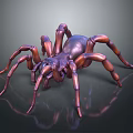 Copper Colored Spider With Eight Legs Shiny Appearance Dark Background Reflections