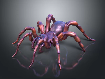 Copper Colored Spider With Eight Legs Shiny Appearance Dark Background Reflections 3d model