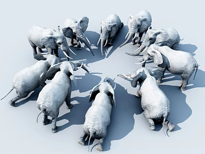Group of Gray Elephants Standing in a Circle on White Surface 3d model