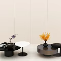 Modern Coffee Table Collection With Round Shape Vase And Decorative Flowers 3d model