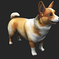 Welsh Corgi Small Yellow Dog Pet Dog Short Leg Welsh Corgi Small Yellow Dog Pet Dog Short Leg Dog Welsh Corgi Small 3d model