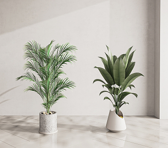 Modern Potted Plant 3d model