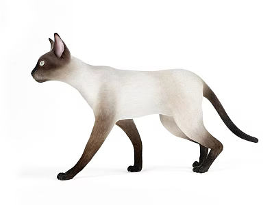 Slender Reptile With Brown And White Body Walking On White Surface 3d model