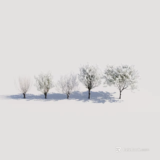 Five Trees With Various Leaf Stages On White Background And Ground Shadows 3d model