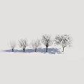 Five Trees With Various Leaf Stages On White Background And Ground Shadows 3d model
