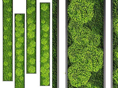 Vertical Green Plant Wall Design With Lush Foliage And Textured Greenery For Interior Decor 3d model