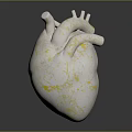 Medical Device 3D Anatomical Heart Model With White And Gold Texture And Structural Details