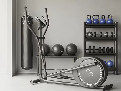 Home Gym Equipment Including Elliptical Punching Bag And Weights 3d model