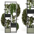 Lush Green Bonsai Potted Plants On Multi Tiered Rack With Hanging Trailing Foliage