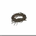Natural Bird Nest Composed of Dry Twigs and Branches with Intricate Structure