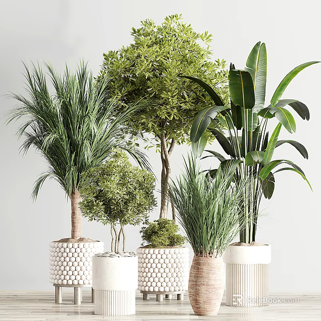 Bonsai Potted Plants Collection With Various Green Foliage And Decorative Planters 3d model 