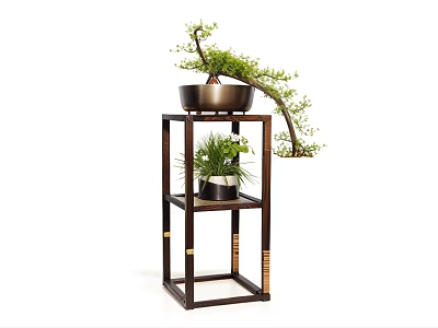 Bonsai Plants On Multi Tiered Wooden Stand With Green Leaves And Dark Pots 3d model